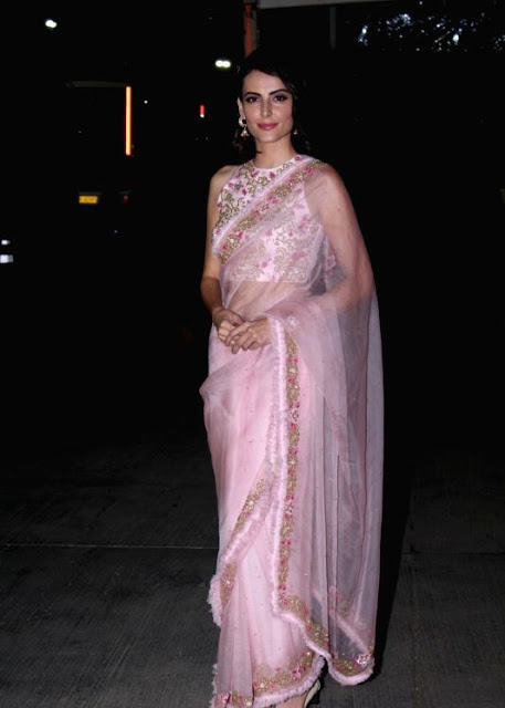 Mandana Karimi In Transparent Pink Saree 2